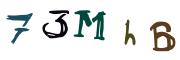 Bild-CAPTCHA
