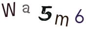 CAPTCHA con immagine