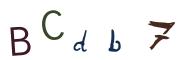 Beeld-CAPTCHA