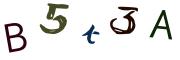 Beeld-CAPTCHA