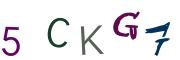 Beeld-CAPTCHA