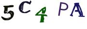 Beeld-CAPTCHA