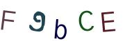 Beeld-CAPTCHA