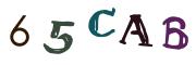 Beeld-CAPTCHA