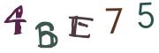 Beeld-CAPTCHA