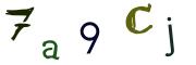 Beeld-CAPTCHA