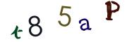 Beeld-CAPTCHA