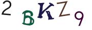 Beeld-CAPTCHA