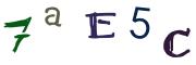 Beeld-CAPTCHA
