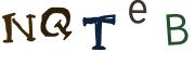 Beeld-CAPTCHA