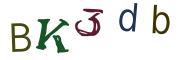 Beeld-CAPTCHA