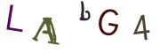 Beeld-CAPTCHA