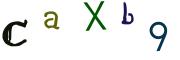 Beeld-CAPTCHA