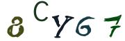 Beeld-CAPTCHA