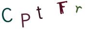 Image CAPTCHA
