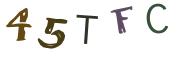 Imagine CAPTCHA
